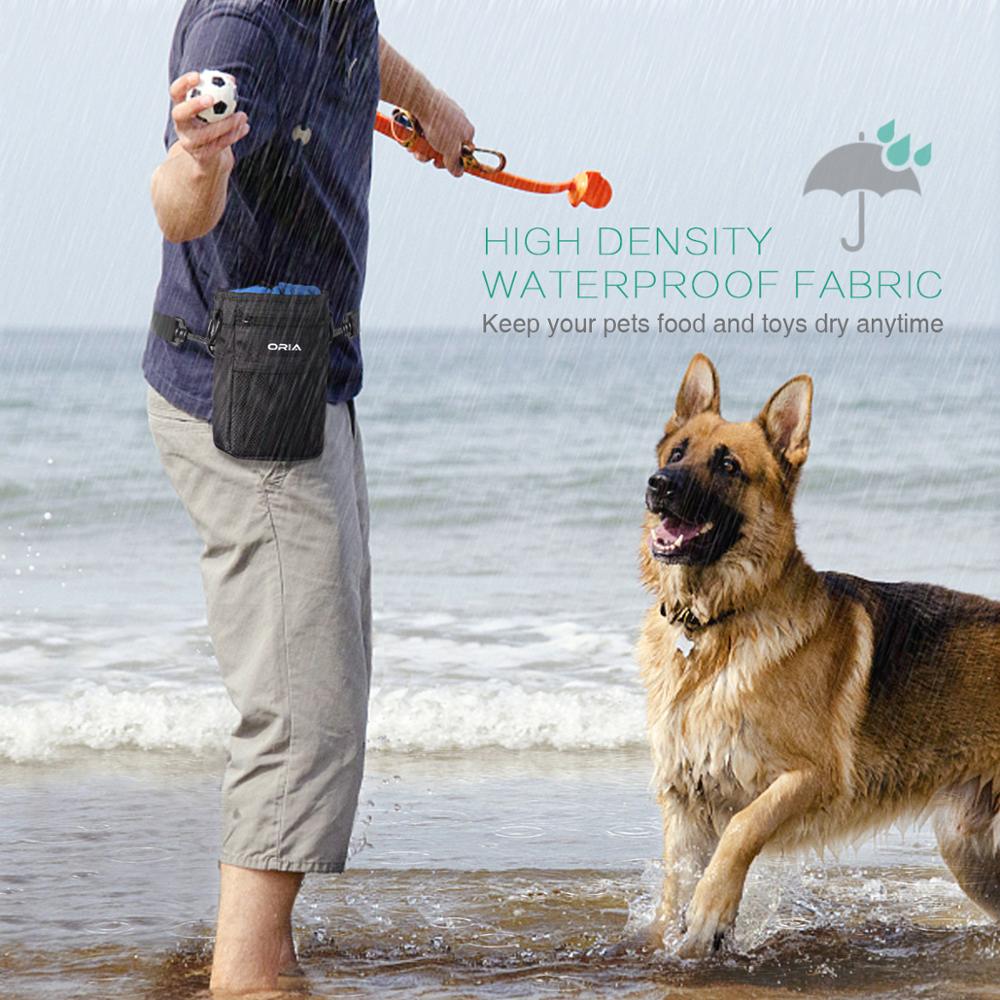 Pet Treat Carrier with Water bowl and Poop bag